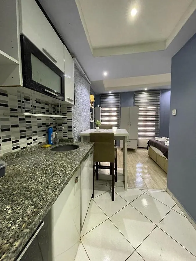 Taksim Dara Apartment 伊斯坦布尔 公寓式酒店